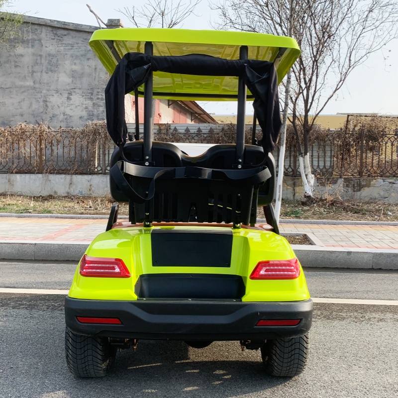 Luxury Bags Price - Carrito de Golf Eléctrico de Lujo