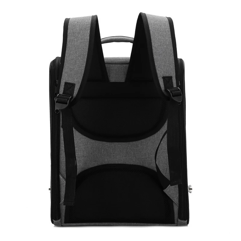 Mochila para loros al aire lib - Luxury Bags Price reseña y precio