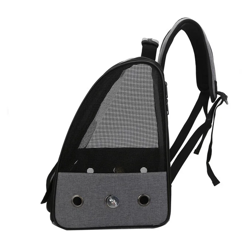 Bolsa transportadora de pájaro - Luxury Bags Price reseña y precio