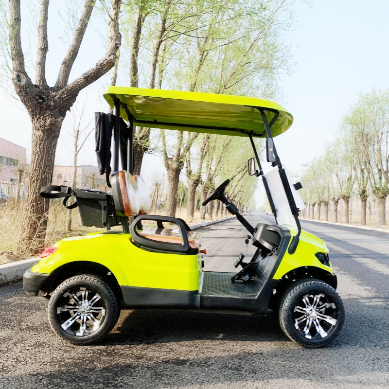Carrito de Golf Eléctrico de L - Luxury Bags Price reseña y precio