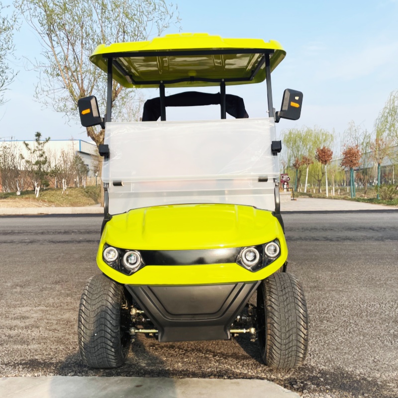 Carrito de Golf Eléctrico de L - Luxury Bags Price reseña y precio