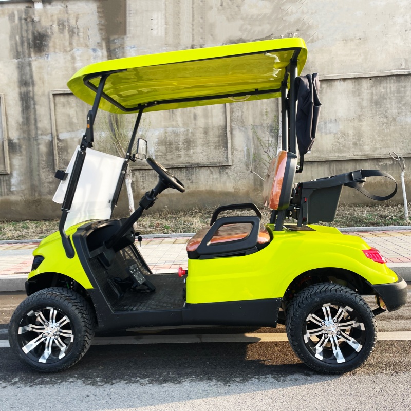 Carrito de Golf Eléctrico de L - Luxury Bags Price reseña y precio